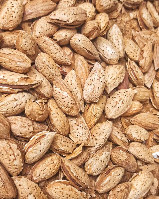 Organix Bites | Premium Natural Almonds with Shell – Fresh, Crunchy & Unprocessed