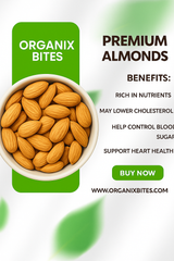 Organix Bites | Premium Raw Almonds – Natural, Fresh & Healthy Dry Fruit Snack